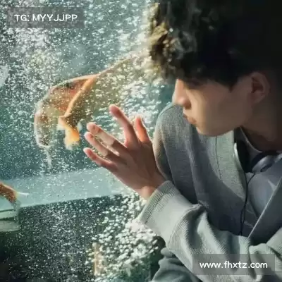 宫队翼